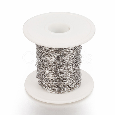 Tarnish Resistant 304 Stainless Steel Paperclip Chains CHS-F010-01B-P-1