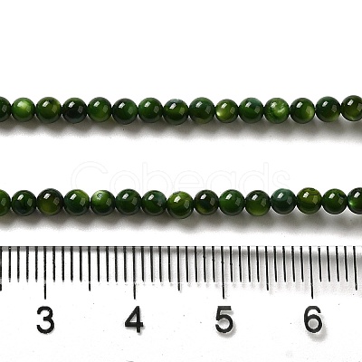 Natural Freshwater Shell Beads Strands X-SHEL-H003-03A-1