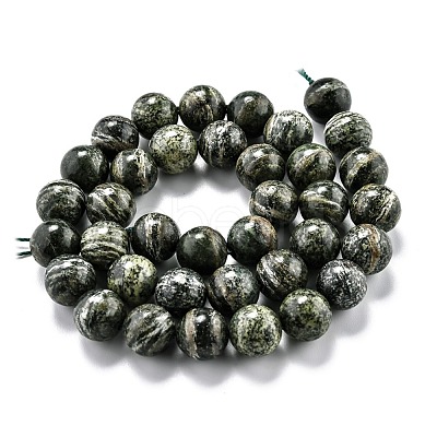 Natural Green Zebra Jasper Beads Strands G-O199-05C-1