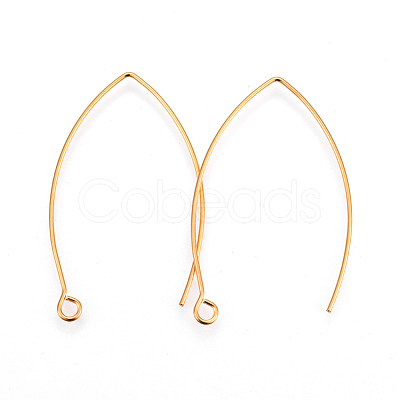 304 Stainless Steel Earring Hooks STAS-F191-02G-A-1