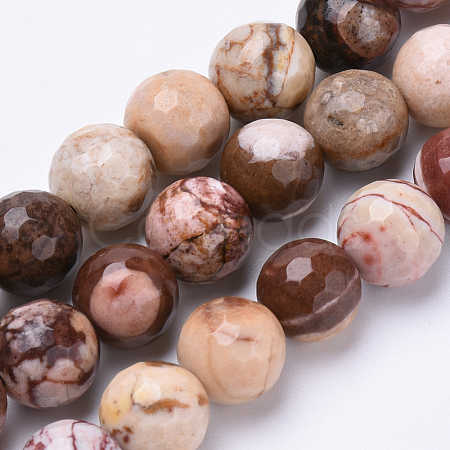 Natural Zebra Jasper Beads Strands G-S281-06-8mm-1