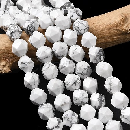 Natural Howlite Beads Strands G-Z119-A43-03-1