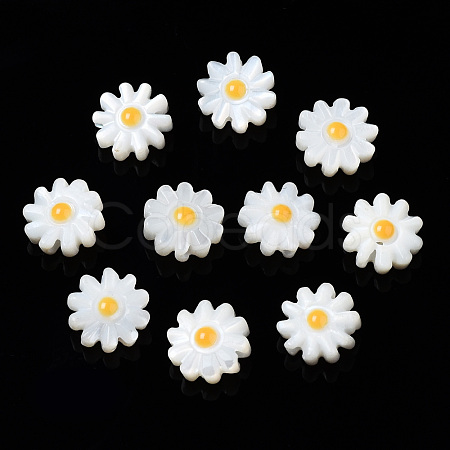 Natural Freshwater Shell Beads SHEL-N003-20B-01-1