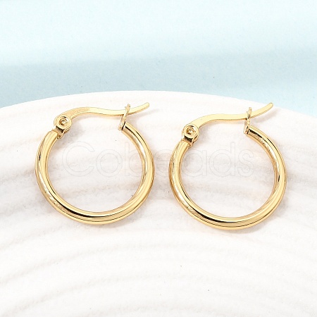 201 Stainless Steel Hoop Earrings SA-CBA4A0D-16G-D-1