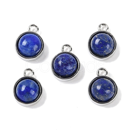 Natural Lapis Lazuli Pendants G-K372-03P-09-1
