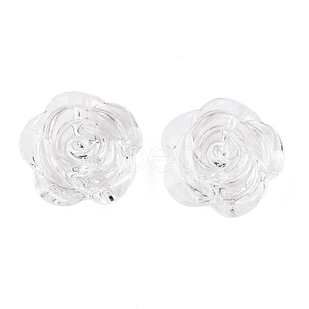 Transparent Acrylic Beads OACR-N137-32G-1