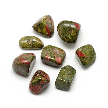 Natural Unakite Gemstone Beads G-S218-08-1