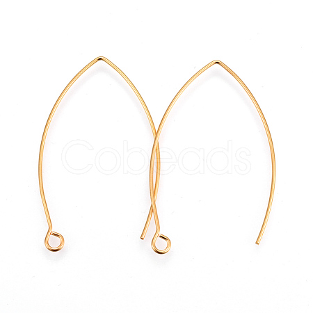 304 Stainless Steel Earring Hooks STAS-F191-02G-A-1