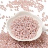 Glass Seed Beads SEED-H002-H-1310-2