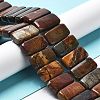 Natural Polychrome Jasper/Picasso Stone/Picasso Jasper Beads Strands G-L585-D01-01-2
