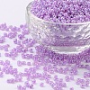 8/0 Glass Seed Beads SEED-US0003-3mm-150-1