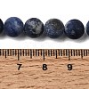 Natural Sodalite Beads Strands X-G-Q462-8mm-07-6