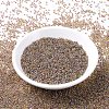 MIYUKI Round Rocailles Beads X-SEED-G007-RR0342-2