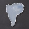 Map Silicone Coasters Molds DIY-O019-02-3