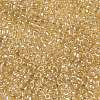 TOHO 8/0 Round Beads X-SEED-TR08-1816-4