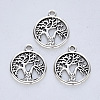 Tibetan Style Alloy Pendants LS-TIBE-R316-111AS-RS-1