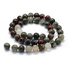 Natural African Bloodstone Beads Strands G-G763-08-10mm-2