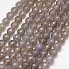Natural Grey Agate Beads Strands G-G580-10mm-08-1