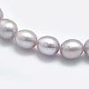 Natural Cultured Freshwater Pearl Beads Strands PEAR-K003-23B-01-3