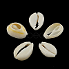 Natural Mixed Cowrie Shell Beads X-BSHE-S051-01-3