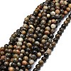 Natural Black Sunstone Beads Strands G-E576-01B-1