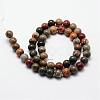 Natural Polychrome Jasper/Picasso Stone/Picasso Jasper Bead Strands G-O155-02A-8mm-2