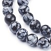 Natural Snowflake Obsidian Beads Strands GSR009-2