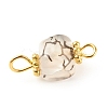 Natural Agate Connector Charms PALLOY-JF01587-04-4