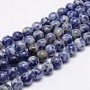 Natural Blue Spot Jasper Bead Strands G-K153-B07-8mm-1