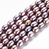 Natural Cultured Freshwater Pearl Beads Strands PEAR-N012-02D-2