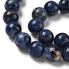 Round Natural Sodalite Beads Strands G-F222-39-14mm-3
