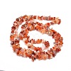 Natural South Red Agate Chips Bead Strands X-G-M205-40-2