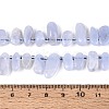 Natural Blue Lace Agate Beads Strands G-Z091-A37-5