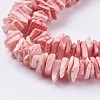 Natural Sea Shell Beads Strands X-BSHE-K012-08D-3