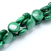 Natural Malachite Beads Strands G-D0011-06-12mm-1