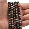 Natural Alashan Agate Beads Strands G-Z111-A39-01-2