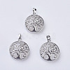 Natural Quartz Crystal Pendants G-K234-E13-1