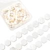 2 Strands Natural Freshwater Shell Beads Strands SSHEL-SC0001-36A-1