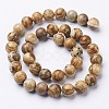 Natural Gemstone Beads Strands X-GSR10mmC016-3