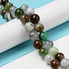 Natural Serpentine Beads Strands G-R494-A03-04-4
