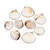 Electroplate Sea Shell Pendants SSHEL-T006-04-1