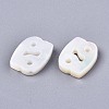 Natural White Shell Beads SSHEL-ZX004-02D-2