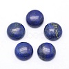Natural Lapis Lazuli Cabochons X-G-P393-R11-12mm-1