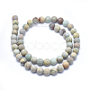 Natural Aqua Terra Jasper Beads Strands G-N0128-48F-8mm-3