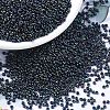 MIYUKI Round Rocailles Beads X-SEED-G007-RR0452-1