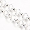Iron Rolo Chains CHT105Y-S-1