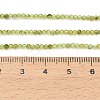Natural Peridot Beads Strands G-A322-A07-2mm-4