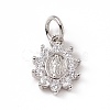 Brass Micro Pave Cubic Zirconia Charms ZIRC-F132-36P-1