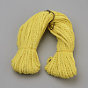 Braided Faux Suede Cord LW-Q008-2.7mm-1063-2