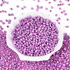 DIY Craft Beads 6/0 Ceylon Round Glass Seed Beads X-SEED-A011-4mm-150-1